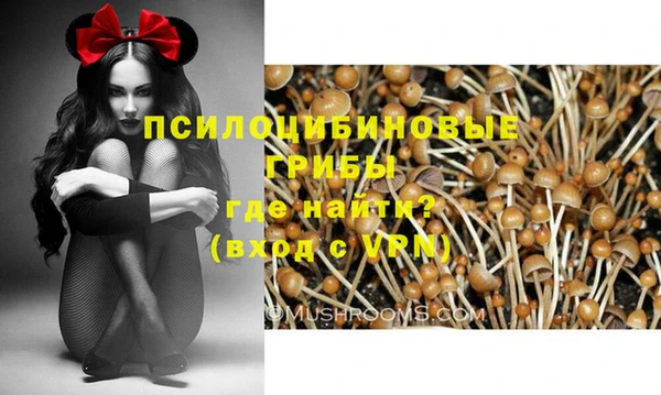 мяу мяу мука Навашино