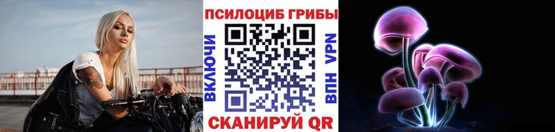 закладки  Куса  Псилоцибиновые грибы Cubensis 
